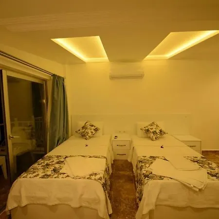 Villa Mono *